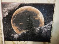 Алмазная мозаика 40х50 холст с подрамником картина стразами, "Лунная ночь" #24, Дарья К.
