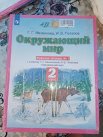 Окружающий мир 2 класс. Комплект из 2-х рабочих тетрадей. УМК "Планета знаний". ФГОС | Потапов Игорь Владимирович, Ивченкова Галина Григорьевна #4, Наталья С.