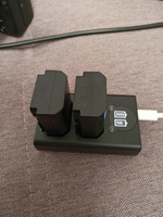 Двойное зарядное для Sony NP-FZ100 Micro и C-Type USB с индикатором #4, Павел К.