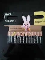 Duracell Батарейка AAA, Щелочной тип, 1,5 В, 12 шт #38, Николай И.