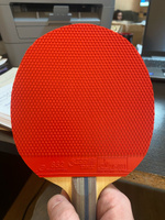 Накладка для ракетки настольного тенниса DHS 652, Красный , размер max #4, Александр К.