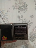 Радиоприемник EPE высокочувствительный AM FM SW с USB MicroSD и MP3 компактный с фонариком #1, Ольга Андреевна Т.