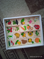 Деревянное лото Томик "Растительный мир", развивающая настольная игра для малышей, 6 карточек + 48 фишек #5, Мария Г.