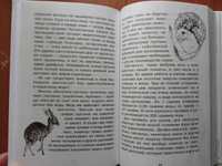 Занимательная физиология. | Сергеев Борис Федорович #6, Елена