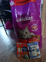 Сухой корм Whiskas Вкусные подушечки для кошек с говядиной, 5 кг. #29, Юлия Е.