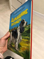 Домашние питомцы | Рени Патриция #6, Светлана Р.