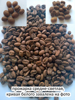Кофе в зернах Эфиопия Сидамо / Sidamo gr.4 Эспрессо Lemur Coffee Roasters, 1кг #144, Андрей