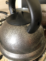 Чайник из нержавеющей стали со свистком P-650192 Napoli, 2,7 литра для газовой, электрической и индукционной плиты/ чайник со свистком/ чайник для плиты #45, Бикчентаева Асия