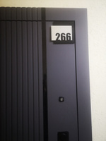 Цифры на дверь квартиры, табличка самоклеящаяся номер 266, 15х12см, царапанное серебро #12, Анастасия К.