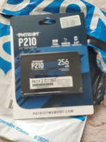 Patriot Memory 256 ГБ Внутренний SSD-диск P210 2.5" SATA3 6.0 Гбит/с (P210S256G25) #58, Андрей Я.