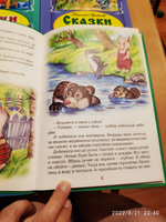 Комплект из 4 сборников сказок для детей от 3 лет. Сказки про зверят. | Русские народные сказки, Грибачев Н. #6, Анна