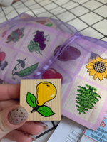 Деревянное лото Томик "Растительный мир", развивающая настольная игра для малышей, 6 карточек + 48 фишек #2, Оля
