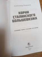 Корни сталинского большевизма. Узловой нерв русской истории | Пыжиков Александр Владимирович #6, Наталья Ч.