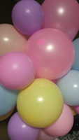 Шарики воздушные шары "Макарун" , 25 см, 100 штук #167, Ирина М.