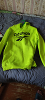 Худи Reebok IDENTITY BIG LOGO FLEECE HOODIE #11, Alexander Gusarov