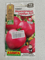 Томат Неразлучные сердца крупноплодный суперурожайный ультраранний 90 дней #45, Елена С.