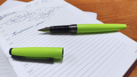 Ручка перьевая чернильная Малевичъ с конвертером, перо EF 0,4 мм, цвет корпуса: зеленая мята #80, Катюха