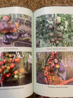 Не просто огород. Как получить южный урожай на севере | Самойлова Светлана Николаевна #4, Лариса В.