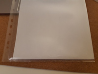 Brauberg Файл A4 (21 × 29.7 см) 50 шт., 110 мкм #7, Агапова Оксана
