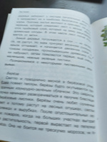 Растения. Деревья, кустарники, травы. Школьный справочник для начальных классов | Куликовская Татьяна Анатольевна, Майоров Владимир Дмитриевич #7, Ваганова Елена Владимировна