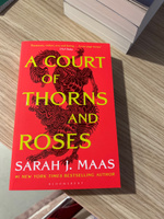 Court of thorns and roses #3, Айнур А.
