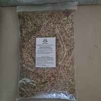 Овес в оболочке неочищенный 1 кг, зерно для заваривания и настоя, микрозелень для проращивания #2, Олеся З.