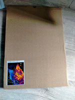 Картина по номерам на картонной основе LORI Разноцветный мейн кун 38х28,5 см, антистресс в подарок #105, Елена С.