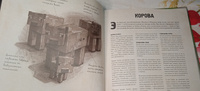 Книга Minecraft. Мобиология. #64, Гузель П.