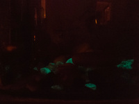 Декоративные камни светящиеся в темноте для аквариума 500 гр, грунт для цветов, мраморная крошка, люминисцент #70, Ирина М.