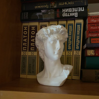 Статуэтка из гипса голова/бюст Давида белого цвета из гипса #31, Полина М.