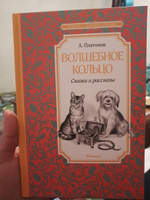 Волшебное кольцо. Сказки и рассказы | Платонов Андрей Платонович #7, Анна З.