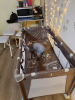 Манеж кровать детский CARRELLO BABY TILLY Rio+, 2 уровня, складной, 125х65 см, коричневый #23, Алина С.