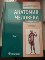 Анатомия человека: Учебник. В 2 т. Т. 2 | Никитюк Дмитрий Борисович, Сапин Михаил Романович #1, Елена В.