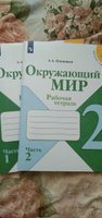 Окружающий мир 2 класс. Рабочая тетрадь в 2-х частях. Комплект из 2-х тетрадей. УМК "Школа России | Плешаков Андрей Анатольевич #8, Татьяна Н.