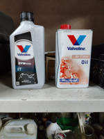 Пропитка воздушного фильтра Valvoline Air Filter Oil 1л #6, Кудряшов Я.