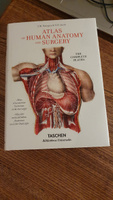 Atlas of Human Anatomy and Surgery | Bourgery Jean Marc, Jacob Nicolas Henri #5, Pavel