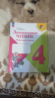 Литературное чтение 4 класс. Рабочая тетрадь. УМК "Школа России" (к новому ФП). ФГОС | Бойкина Марина Викторовна, Виноградская Людмила Андреевна #2, Надежда П.