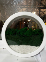Настенное круглое декоративное кашпо белое 25 см со стабилизированным мхом на стену интерьерное с сухоцветами #34, Наталья С.