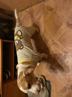Комбинезон-пижама для собак PAWSTAR. Размер 2XL. Костюм медвежонок. Обхват груди 56-59 см. Одежда средних пород басенджи, мопса, французского бульдога. #4, Дарья Т.