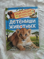 Детеныши животных. Энциклопедия для детского сада | Клюшник Л. В. #5, Маргарита П.