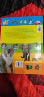 Книга, большая энциклопедия для детей, школьников про животных для чтения, с иллюстрациями | Спектор Анна Артуровна #8, Олеся Ф.