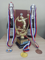 Подарок-награда "Волейбол" (наклейки в комплекте), высота 21 см. Вариант №42 #3, Логачев Артем