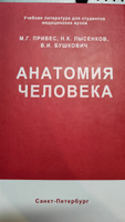 Анатомия человека. Привес М.Г. | Привес Михаил Григорьевич, Лысенков Николай Константинович #8, Павел В.