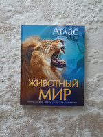 Животный мир. Иллюстрированный атлас | Бамбардения Чана, Вудрафф Дейвид #1, Людмила К.