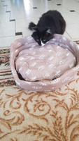 ZooMarket Лежанка с бортиком и подушкой для кошек, собак средних и малых пород 50х50 см Корона + кошачья мята в подарок #81, Karina K.