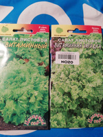 Салат листовой ВИТАМИННЫЙ (Семена ЦВЕТУЩИЙ САД, 0,5 г) x 2 упаковки #11, Лариса П.