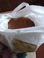 Пшеница для проращивания и приготовления витграсса С Алтайских полей, 5 кг #3, Игорь И.