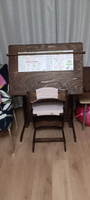 Парта для школьника и растущий стул с подушкой, комплект мебели #24, Екатерина Н.