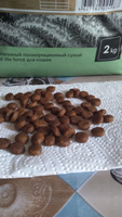 Сухой корм для кошек Secret Premium с ягненком, 2 кг #40, Ирина М.