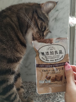 Лакомство для кошек Japan Premium Pet Конфетки-суфле на основе японского тунца, 30 г. Без красителей. Без консервантов. #24, Александра Ф.